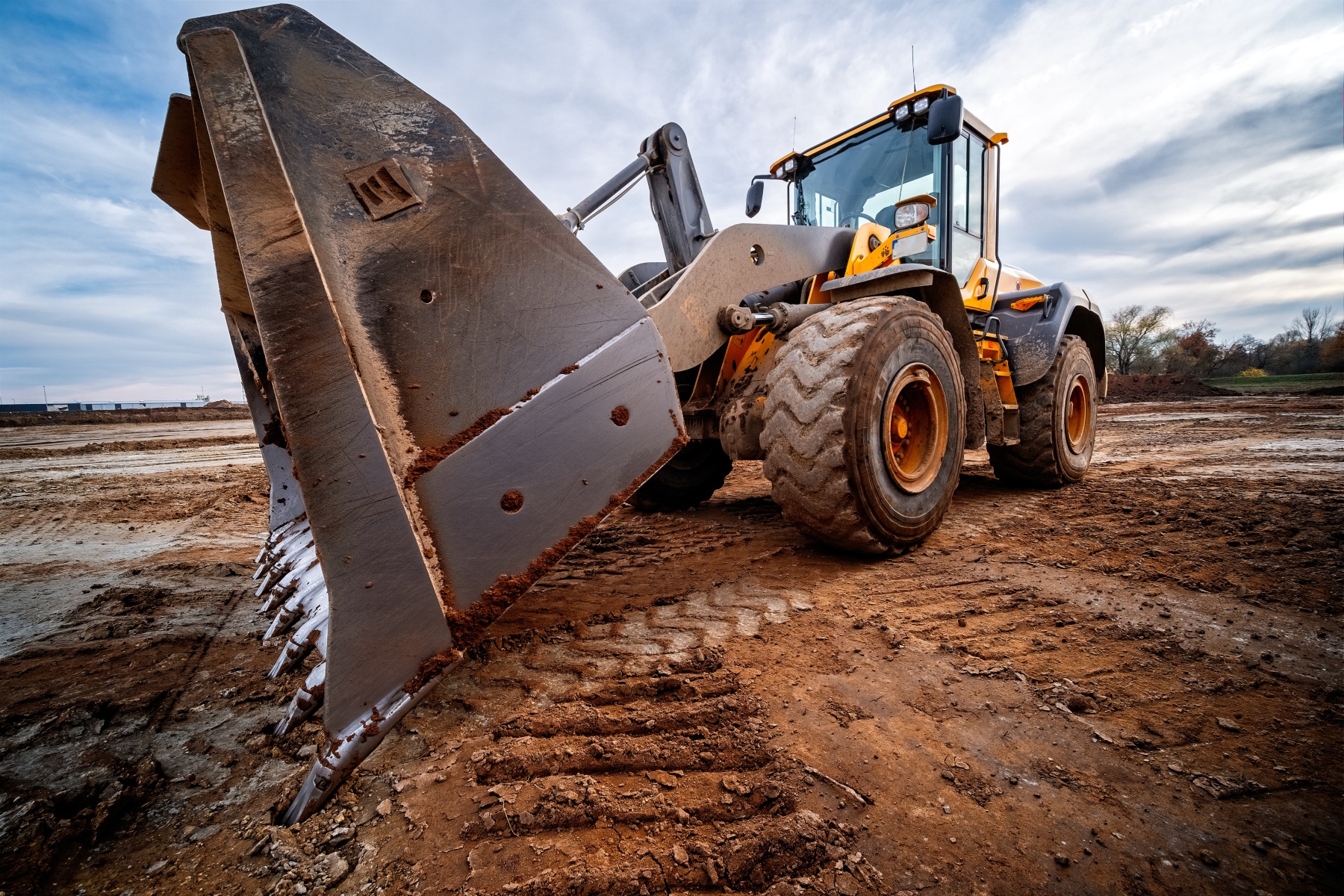adobestock_322043960.jpeg